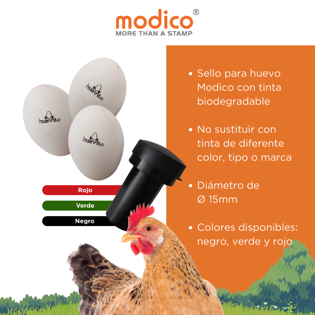 Huevo Sello.webp